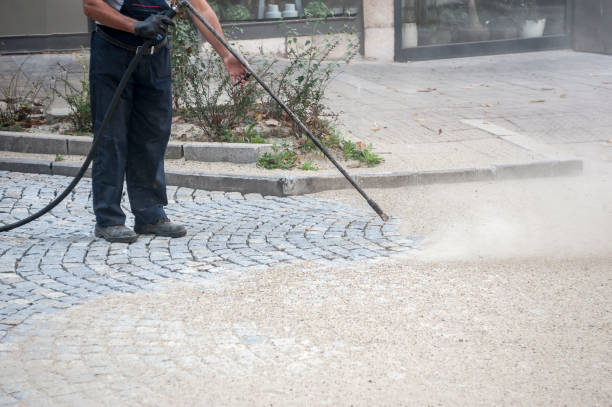 Best Residential Pressure Washing in St Louis Park, MN